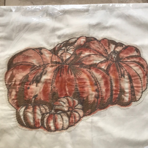 NWT Pottery Barn Harvest Pumpkin Pillow Cover 20” - Picture 3 of 5